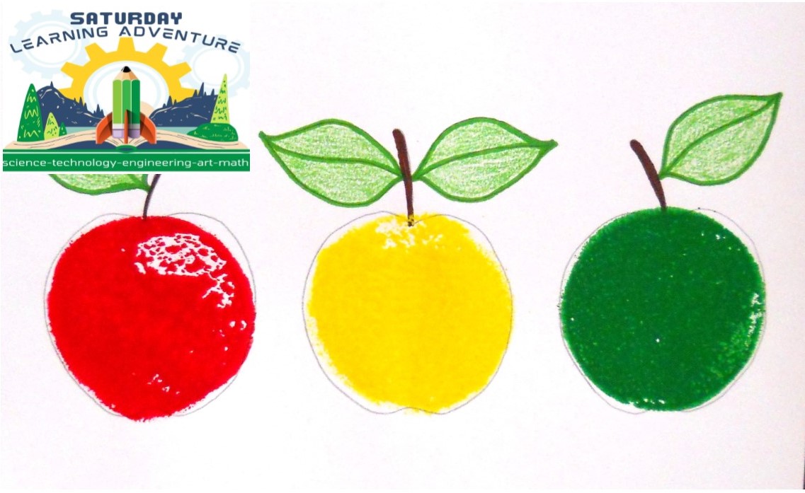 RavalliMuseum's tweet photo. Free Family Activity: Apple Prints
October 4, 9:00am-2:00pm
Ravalli County Museum
Learn the basic principles of printmaking as you create apple artwork. Just dip a sponge into paint and press it onto paper!
 #ravallimuseum #freefamilyactivities #hamiltondowntown #appleday2025 https://t.co/Kro7cMfz33