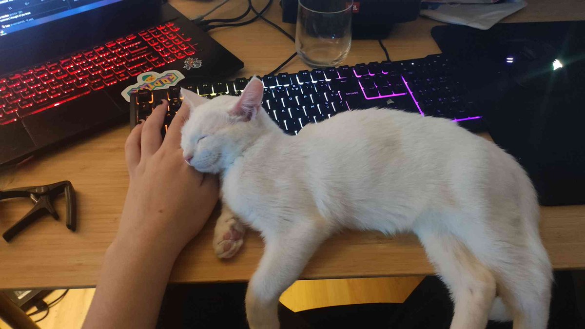 KlaraBehringer's tweet photo. c'est ça son problème en fait (et si je bouge la main elle m'engueule) https://t.co/76Qv6nZ6h0