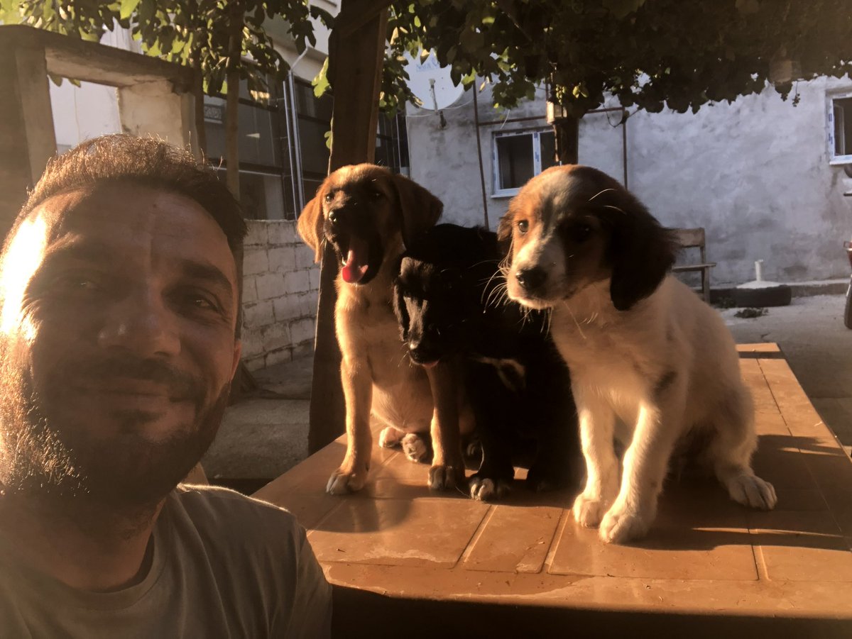 Memura İndiriminiz 
Var Mı Dedi❓
Sahipli Hayvanınız 
Var Mı Dedim…
Yok Dedi…
O Zaman İndirimde Yok Dedim…
Evet Bu Bir Ayrımcılık,,,
Vicdanlı,Merhametli İnsanları Baş Tacı Edin❗️
Gerisini Boş Verin❗️
#SokakHayvanlarıSahipsizDeğildir