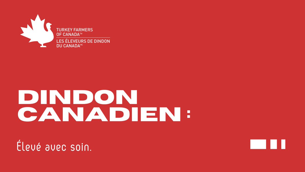 Le dindon canadien est élevé avec soin selon des normes rigoureuses. En choisissant le dindon canadien, vous choisissez un aliment qui respecte vos attentes et vos valeurs :
leseleveursdedindonducanada.ca/a-la-ferme/