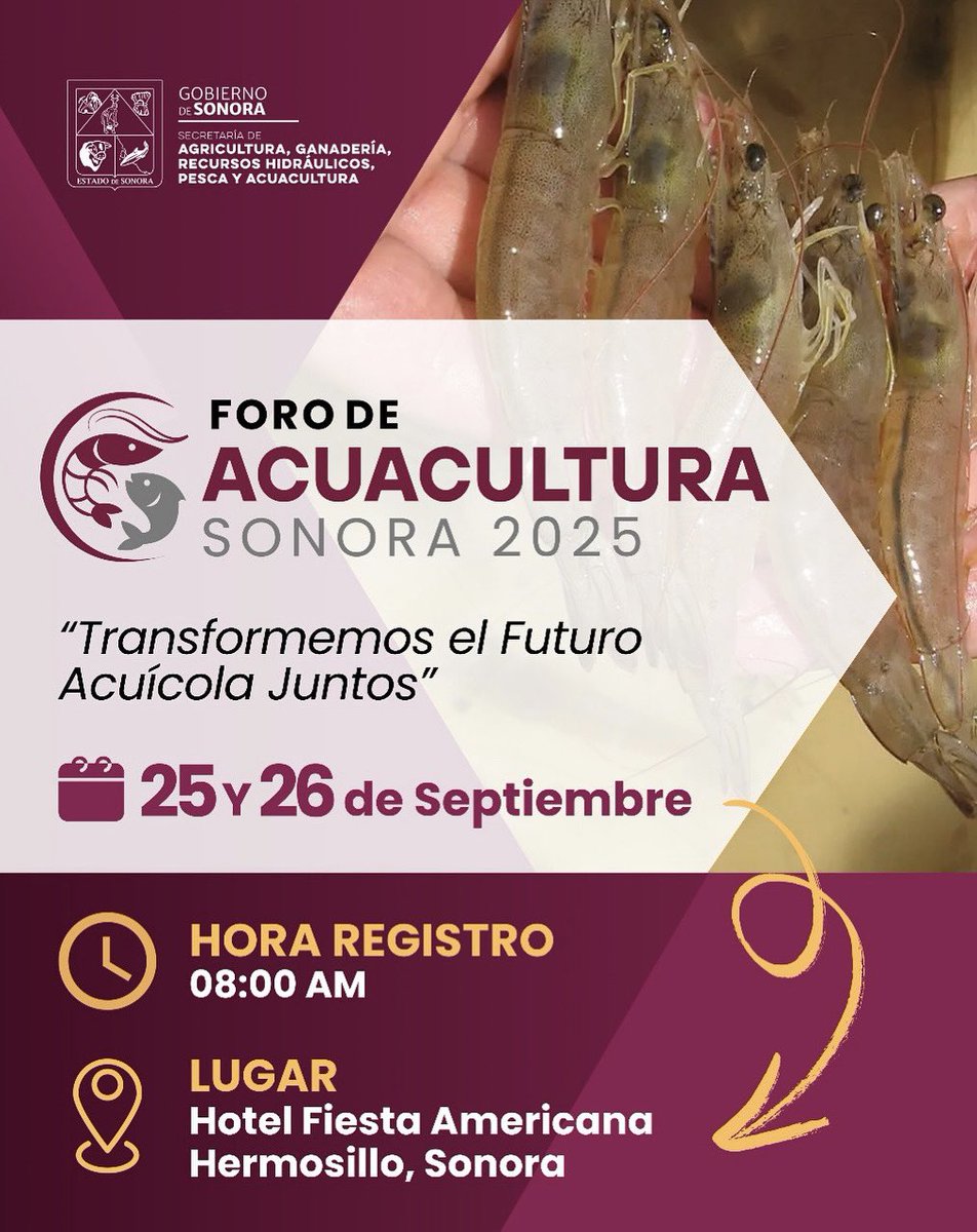 SAGARHPASonora's tweet image. 👉🏻🗓️ Acompáñanos al Foro de Acuacultura Sonora 2025, los días 25 y 26 de septiembre en el Hotel Fiesta Americana en Hermosillo a partir de las 8:00 am. 

🐟Un evento que reúne a productores, especialistas y autoridades para impulsar la innovación y la sostenibilidad del sector.