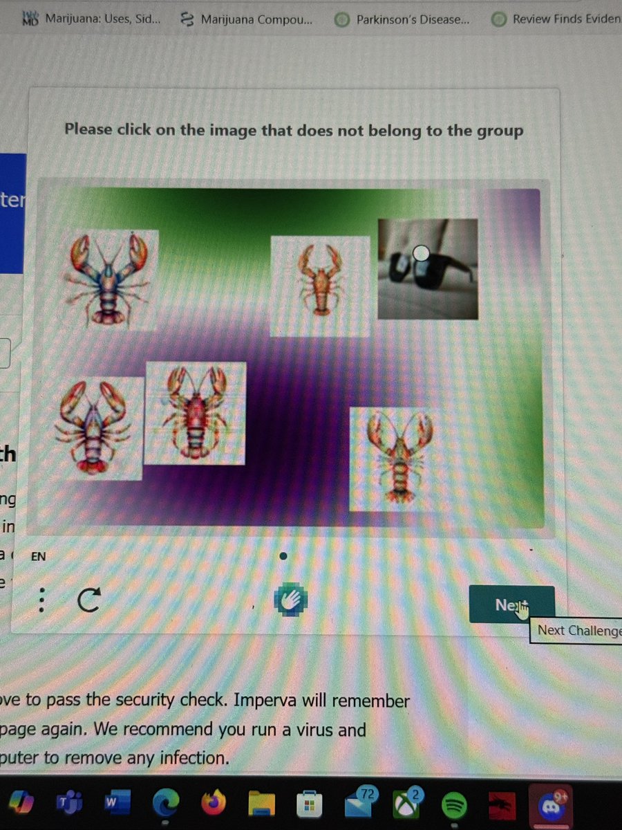 What if lobsters like to be COOL and wear sunglasses?!