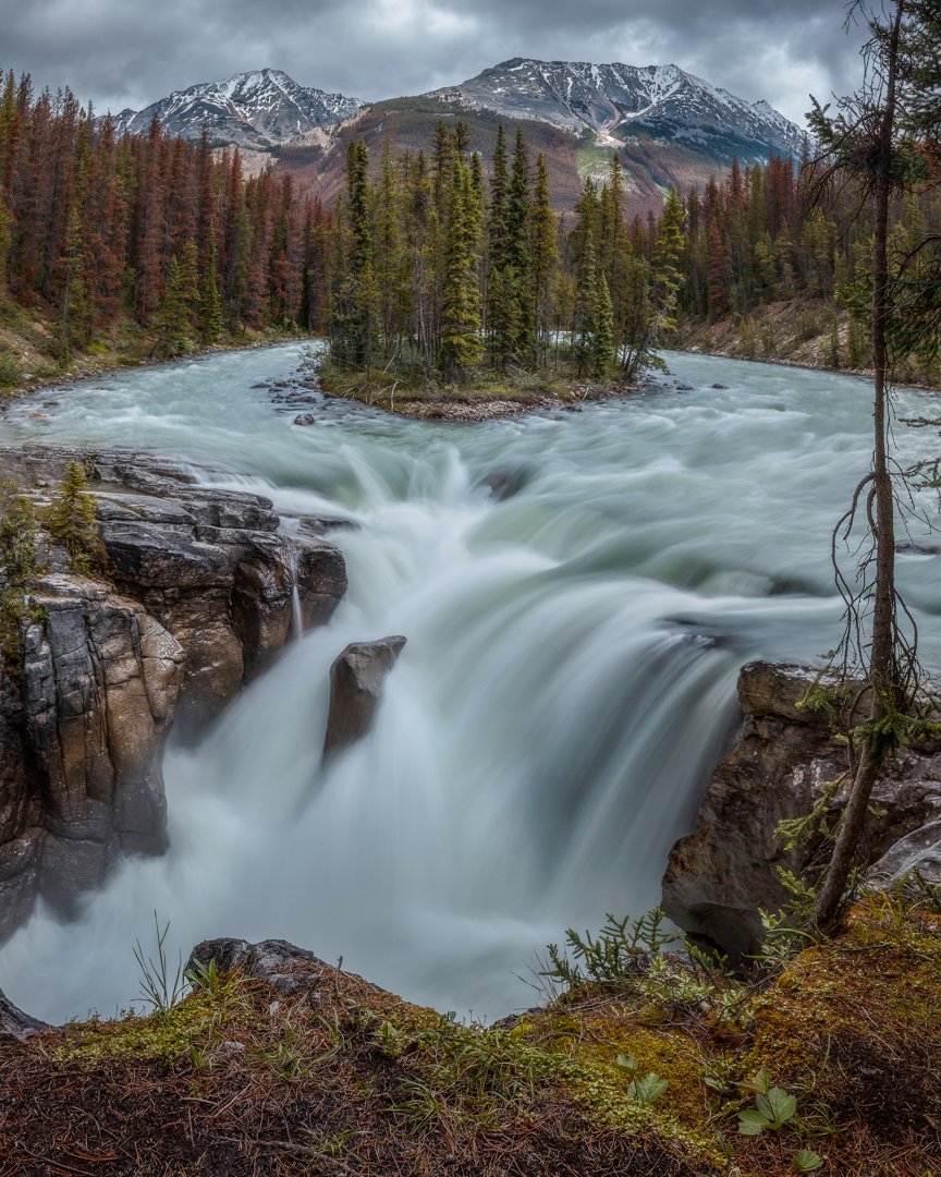danschyk's tweet image. Sunwapta Falls, Jasper