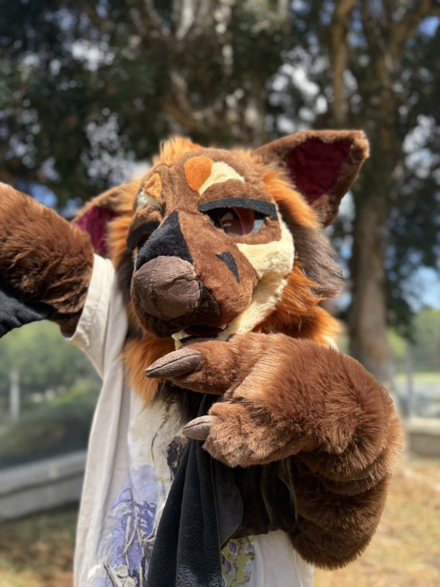 .𖥔 ݁ ˖🦇 ݁˖ ݁𖥔 . .𖥔 ݁ ˖🦇 ݁˖ ݁𖥔 . .𖥔 ݁ ˖🦇 ݁˖ ݁𖥔 . .𖥔 ݁ ˖🦇 ݁˖ ݁𖥔 . 

Kalabasa Fox Bat 🎃
$950+shipping (upfront)
$1050+shipping (payment plan OK)

More pics down below  👇
✈️Suit work Telegram chat: t.me/+TR3Ou4SJtGkwY…