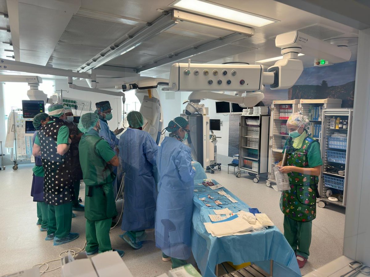 Hoy hemos recibido la visita internacional de los Dres. Hauqui (Argentina), Del Hierro y Gilardi (Perú), y Pérez Baquero y García Rojas (República Dominicana) para un workshop de recanalización endovascular compleja de miembros inferiores 👨‍⚕️🌍
Proceden del Instituto Diagnóstico