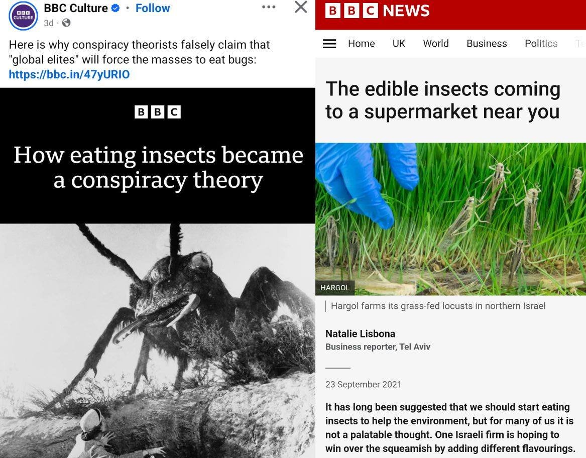 elivieira's tweet image. 2019: coma inseptos
2020: coma inseptos
2021: coma inseptos
2022: coma inseptos
2023: coma inseptos
2024: coma inseptos
2025: é teoria da conspiração que eu disse pra você comer inseptos.