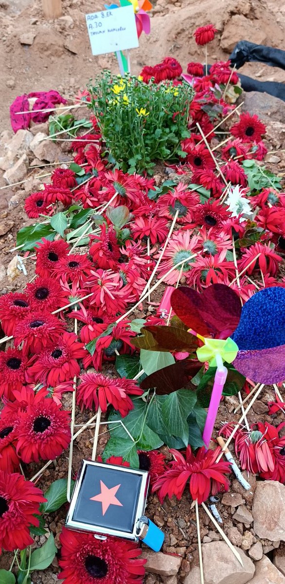 Kimlerin anısına, kaç tane olay yerine karanfil bırakıldı. 
Ben karanfil olsam ağlardım...
#taylankulacoğlu