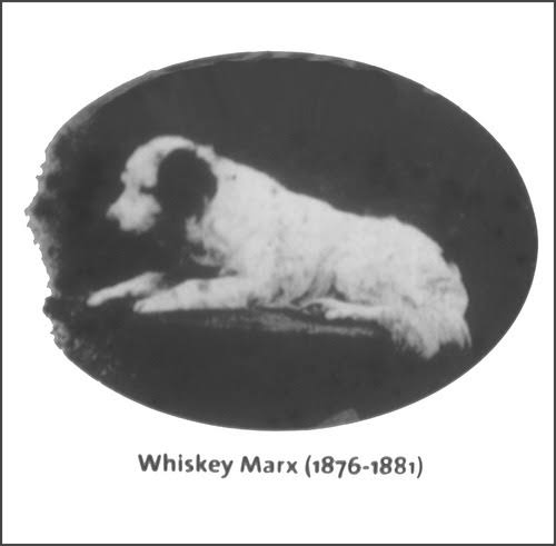 Laborans tweet media