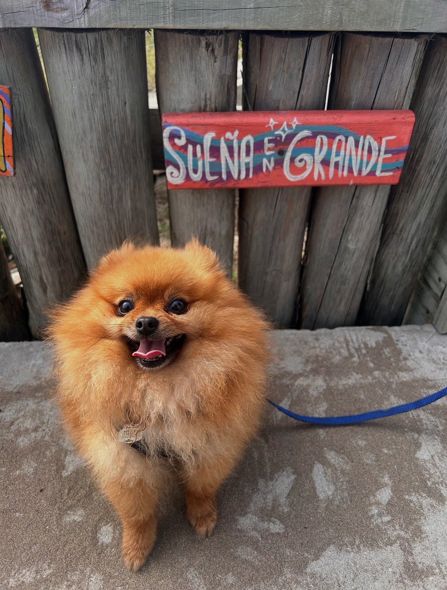 Sueña en grande ✨