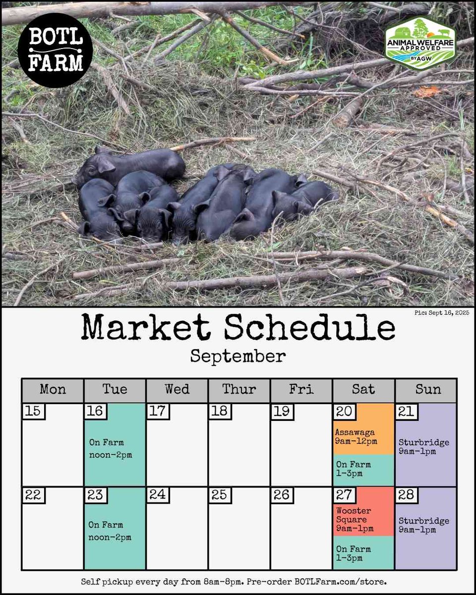 BOTLFarm's tweet image. Lots of new piglets this past week. Two of our sows gave birth out on pasture. Sometimes they choose to use the shelters given to them and sometimes they make their own nests. This time both made their own nests. 
 
#cornfree #soyfree #animalwelfareapproved #organicfed