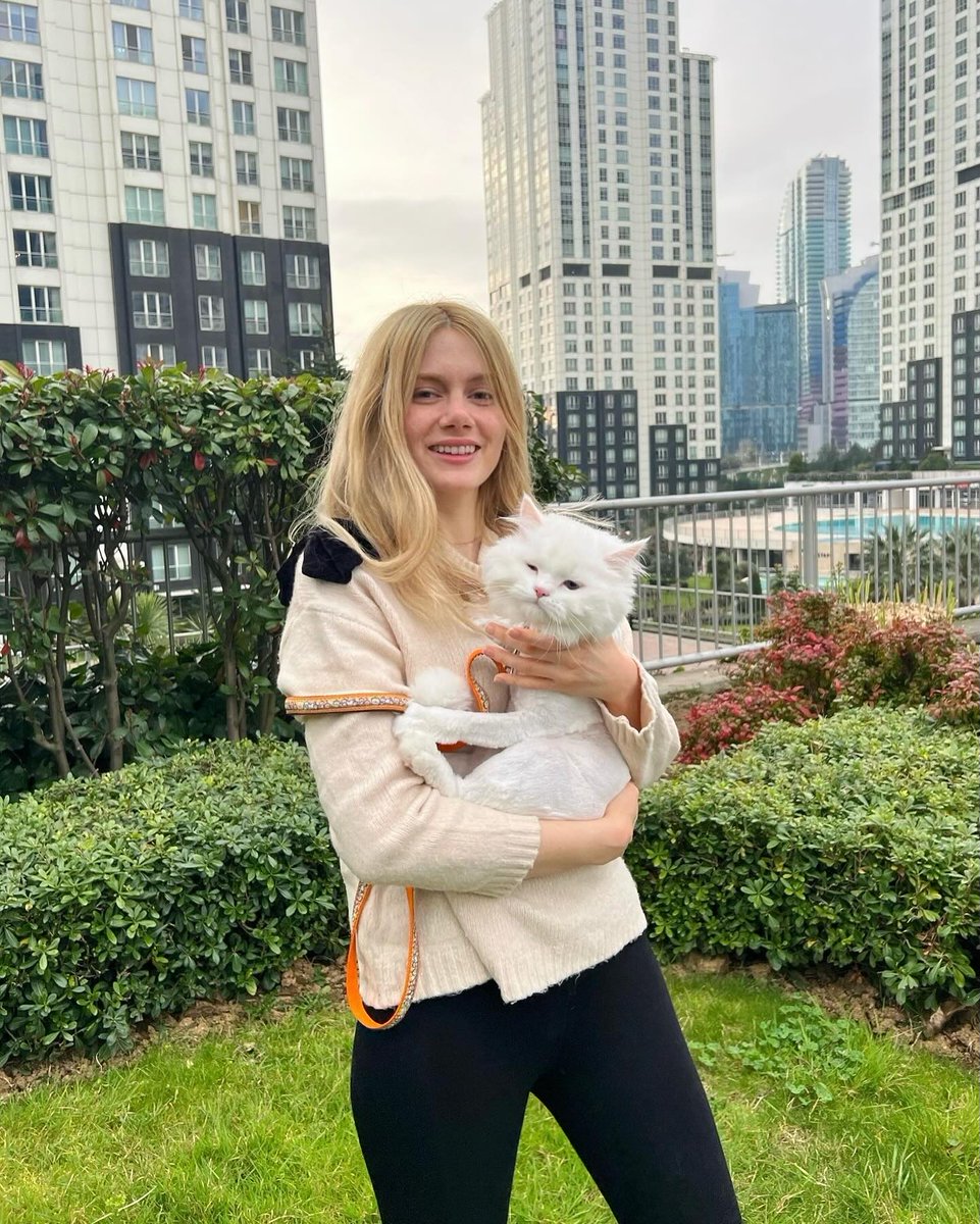 bestrefajax's tweet image. ☀️ Lunchtime cuddles with my cloud. 😻
#WhiteCat #CatLover #MiddayVibes