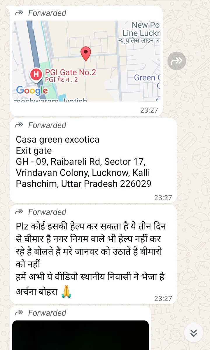 ArjitArjit7262's tweet photo. जल्द से जल्द हेल्प करे लखनऊ के njo पशु प्रेमी सेवक @myogiadityanath @PetaIndia @pfaindia @jeevaashraya @stray_helpers @OfficeOfKPM @tarana2510 @Singhiskingh39 @APMAT15 @himanshuaapn https://t.co/9Wf6ynegwJ