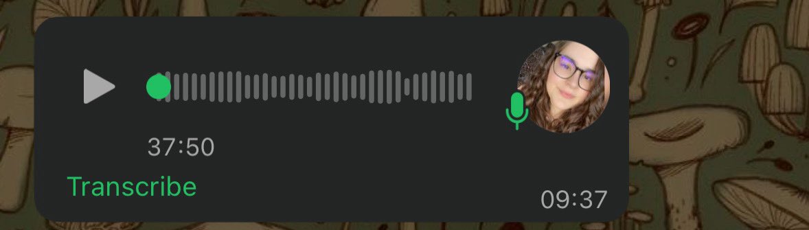 this is going to be the best voice memo i have ever received i fear <a href="/books_and_bakes/">P🐝</a>