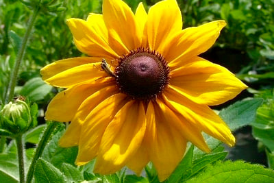 elismile998899's tweet photo. ✨🌞 Shining brightly like the radiant sun, spreading warmth, positivity, and joy wherever it blooms. Let your light inspire and uplift those around you! 🌻💛✨
#ShineBright #SpreadWarmth #BeTheLight #PositiveVibes #BloomAndGlow #SunshineSpirit https://t.co/FJ44ZBBu88