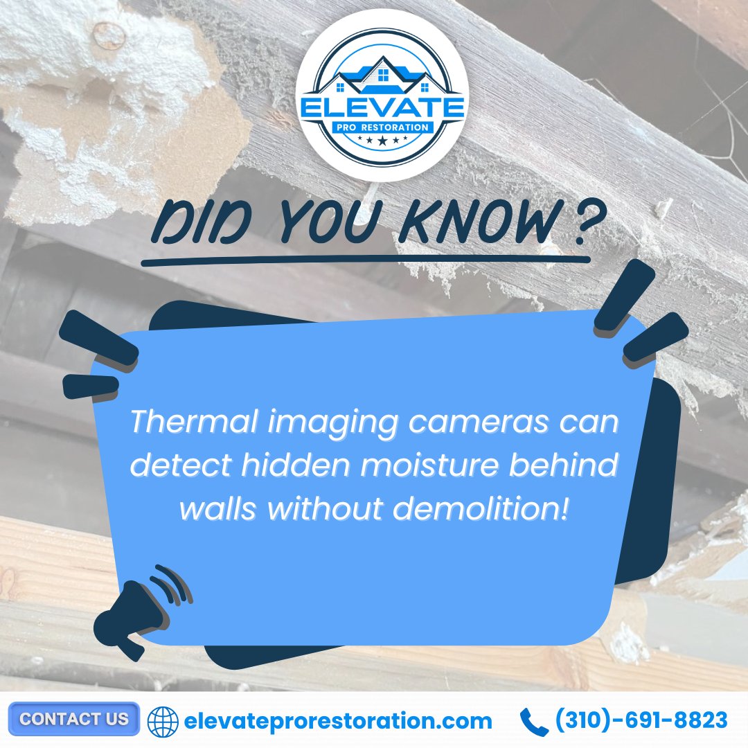elev8pro's tweet photo. 🔎 Did you know? Thermal imaging cameras can detect hidden moisture behind walls without demolition. This helps us save time, money, and unnecessary damage.
Discover our advanced solutions at https://t.co/Gq3fti8ZgO.
#DidYouKnow #RestorationTechnology #WaterDamage https://t.co/5VpZSIZOEK