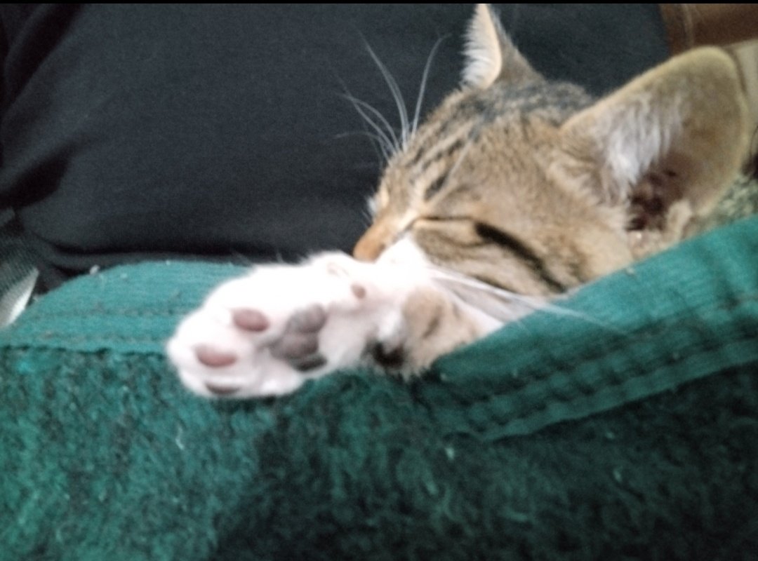 my shayla🤩💝🩷💓💗