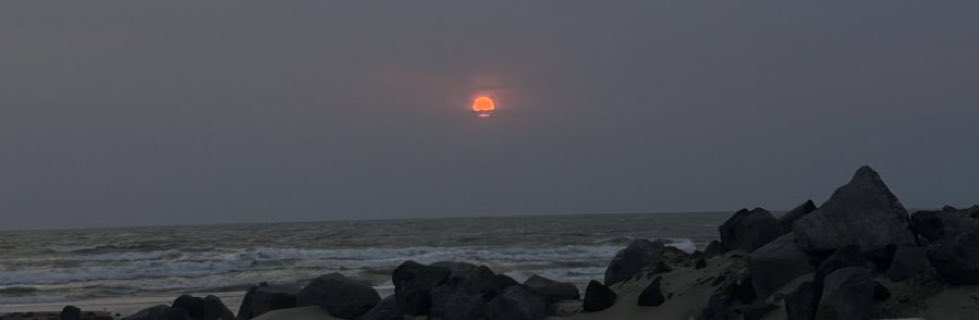 Metin Rüzgar Sert (@verdemrs) on Twitter photo 