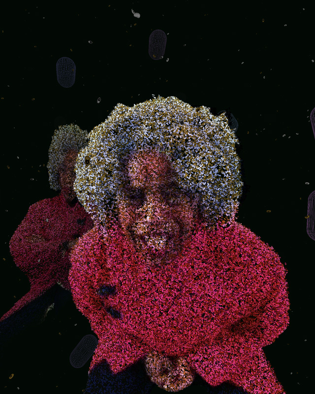 contentmag's tweet photo. Join @SanJoseICA for the opening reception of Stephanie Dinkins: “Data Trust”
Fri, 9/19, 6-8p
560 S 1st St, San José
Learn more:
https://t.co/tUnpwufqBU
Img 1: Screen grab from Stephanie Dinkins, “#whenwordsfail” immersive web experience https://t.co/dxTeudF2rR