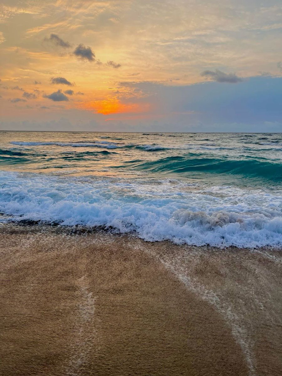 NurseLJohn707's tweet photo. Find joy in the ordinary, and every moment becomes extraordinary. https://t.co/vVQd4G8T2j