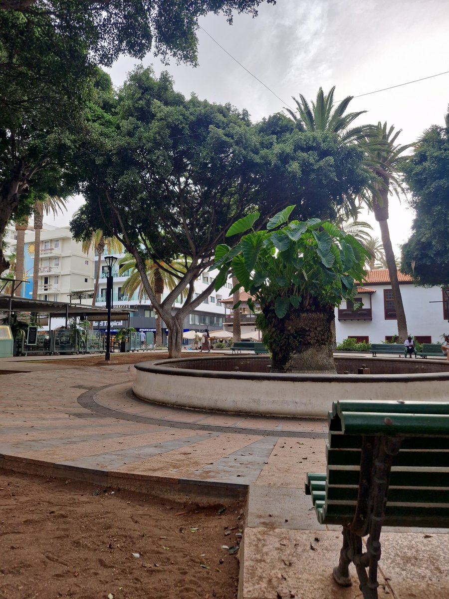 Estoy sentado en un banco en La plaza del Charco en el El Puerto de la Cruz en Tenerife en un día caluroso y estaba pensando, vaya lugar maravilloso para que <a href="/diazvillanueva/">Díaz Villanueva</a> grabe un a la contra.