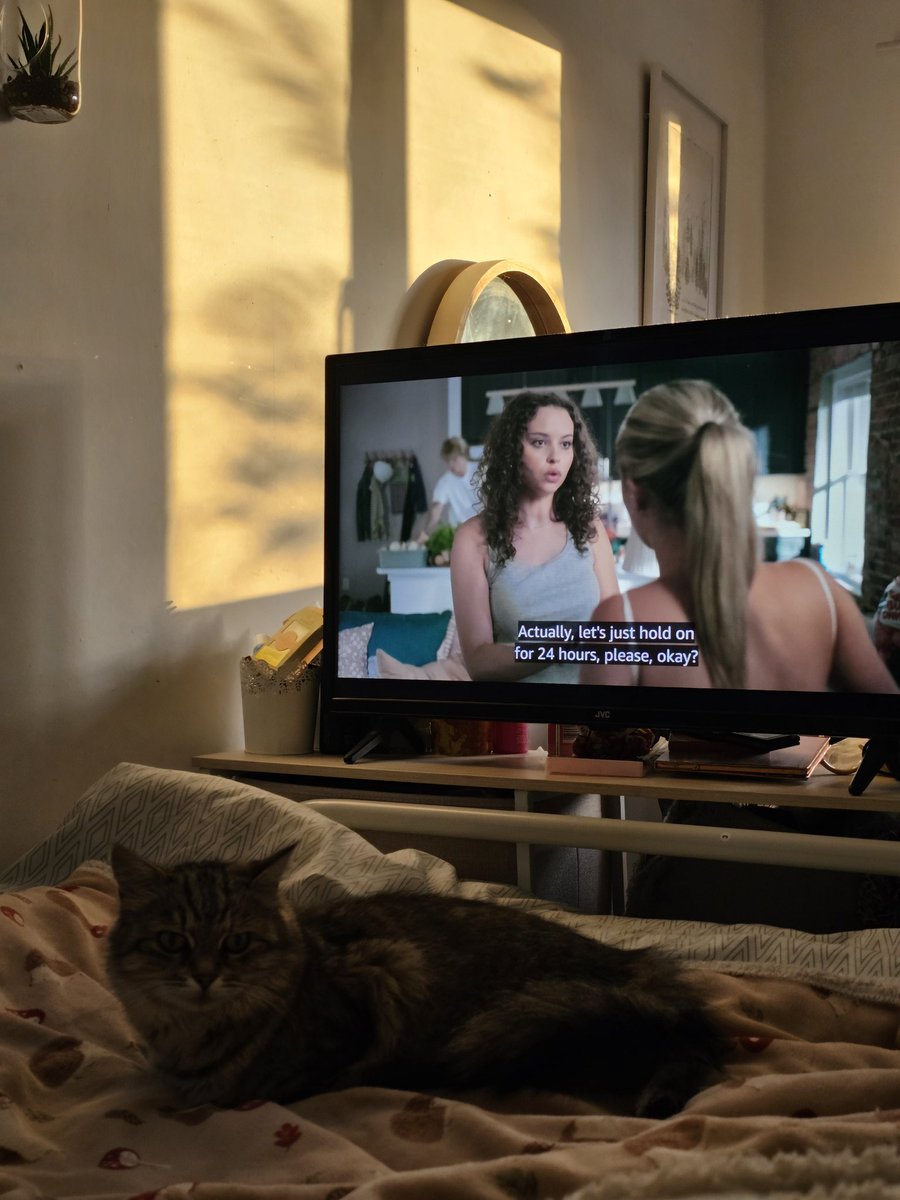 hannah (hannah's edition) tweet media