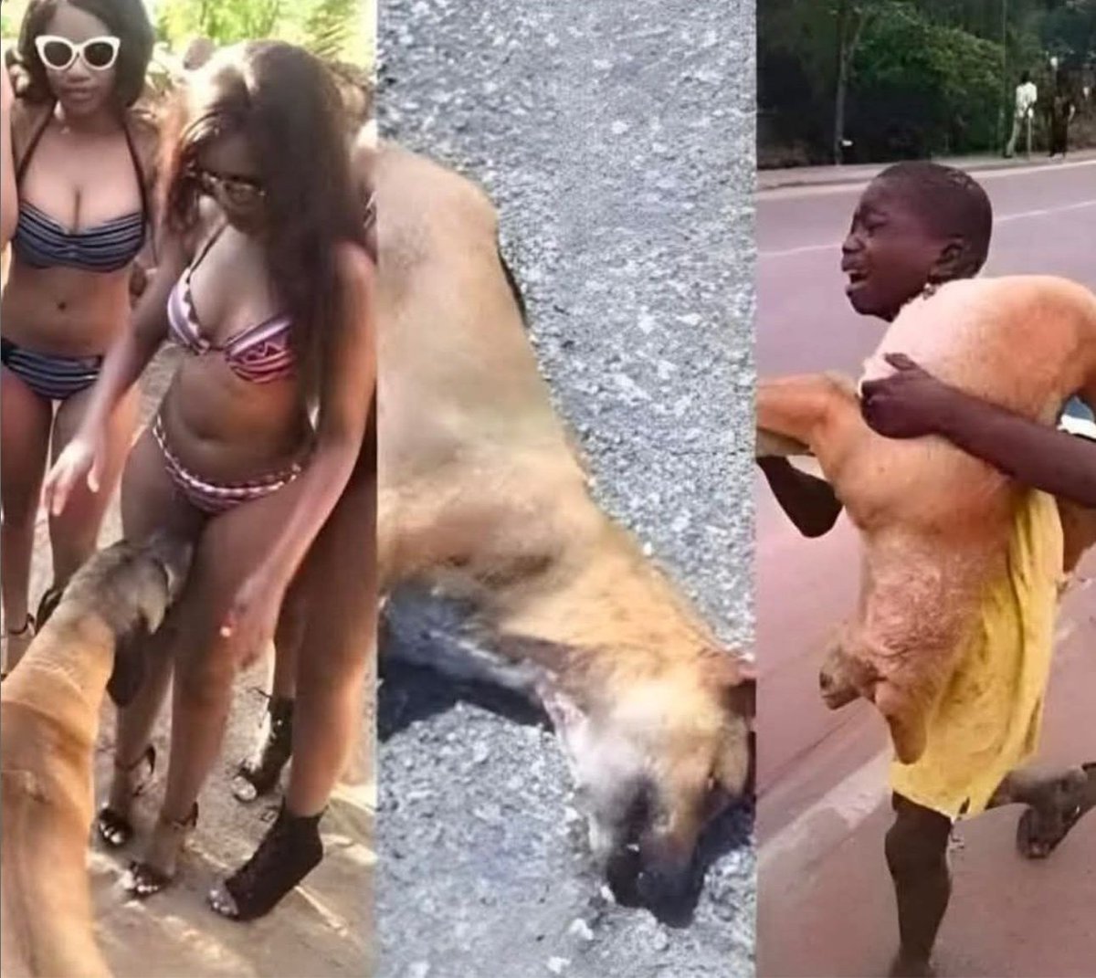 This meme will never get old. 😭😂😂🙌