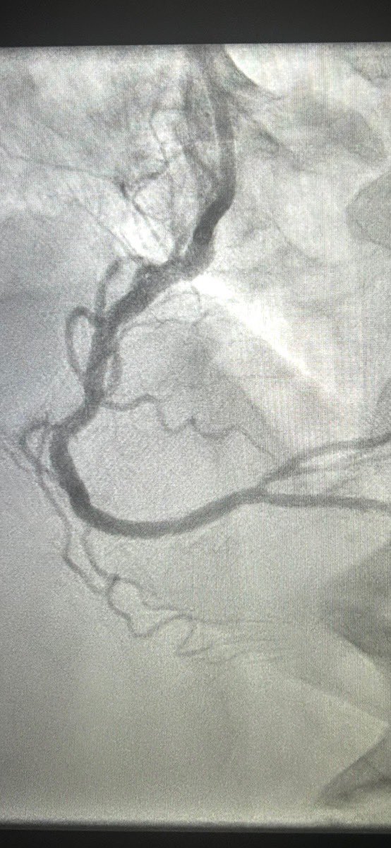 Jared Romeo tweet media