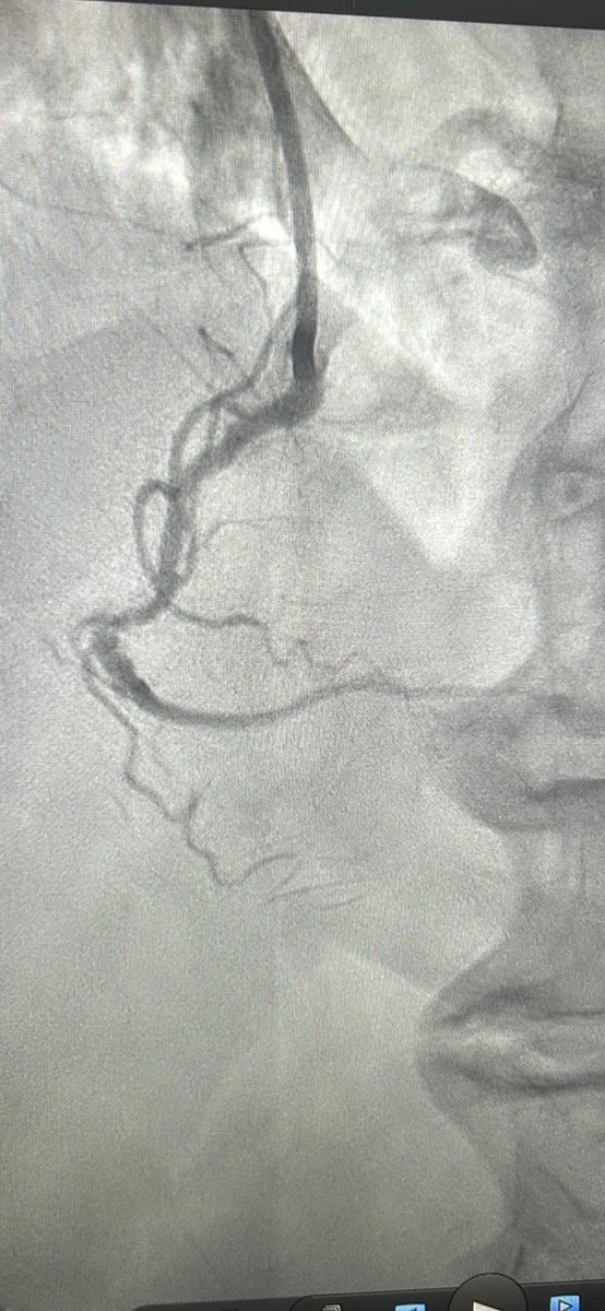 Jared Romeo tweet media