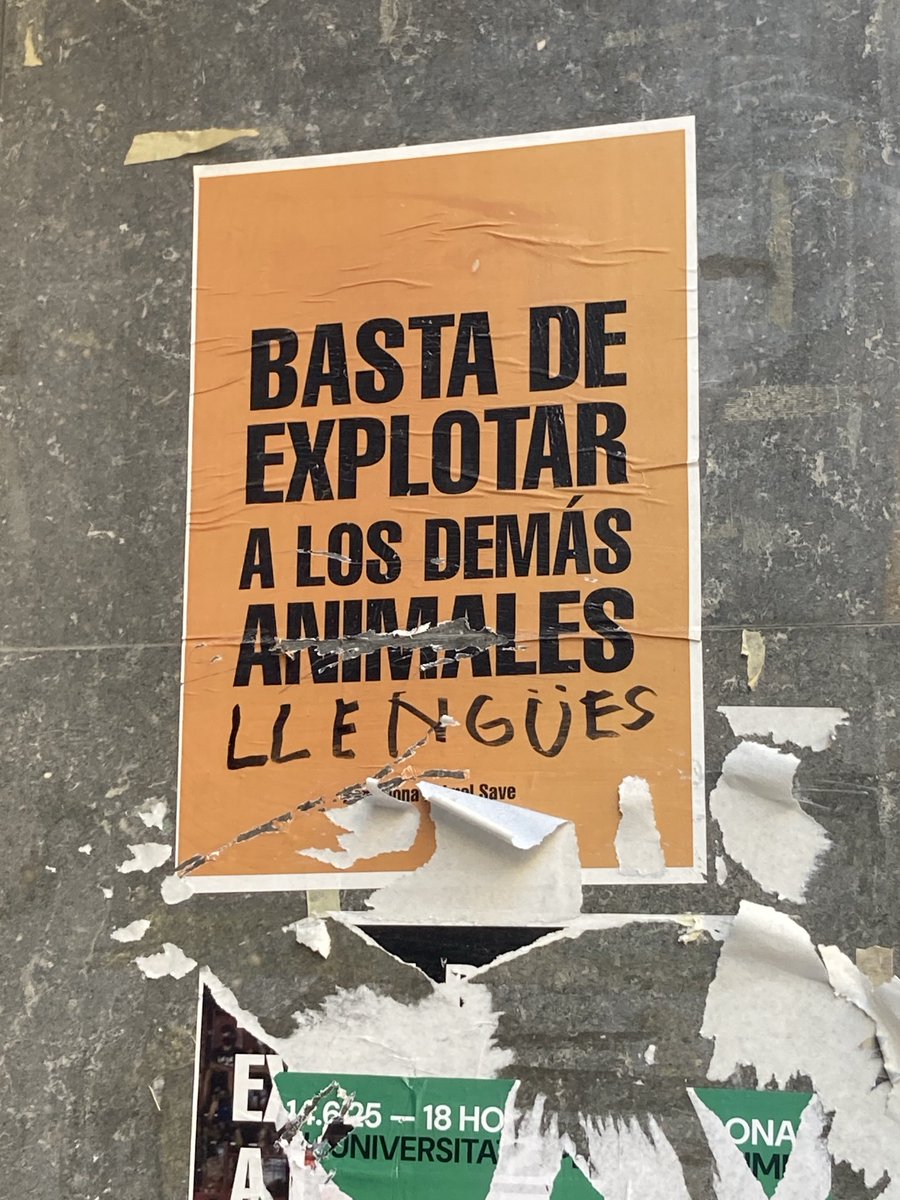 Parets.