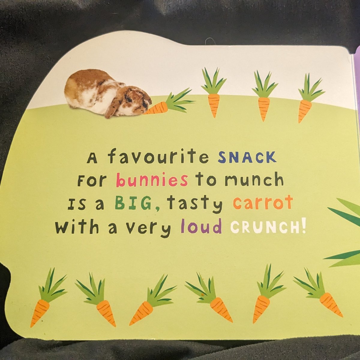 any bunnies here to confirm this?