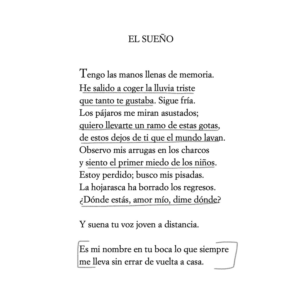«He salido a coger la lluvia triste / que tanto te gustaba».