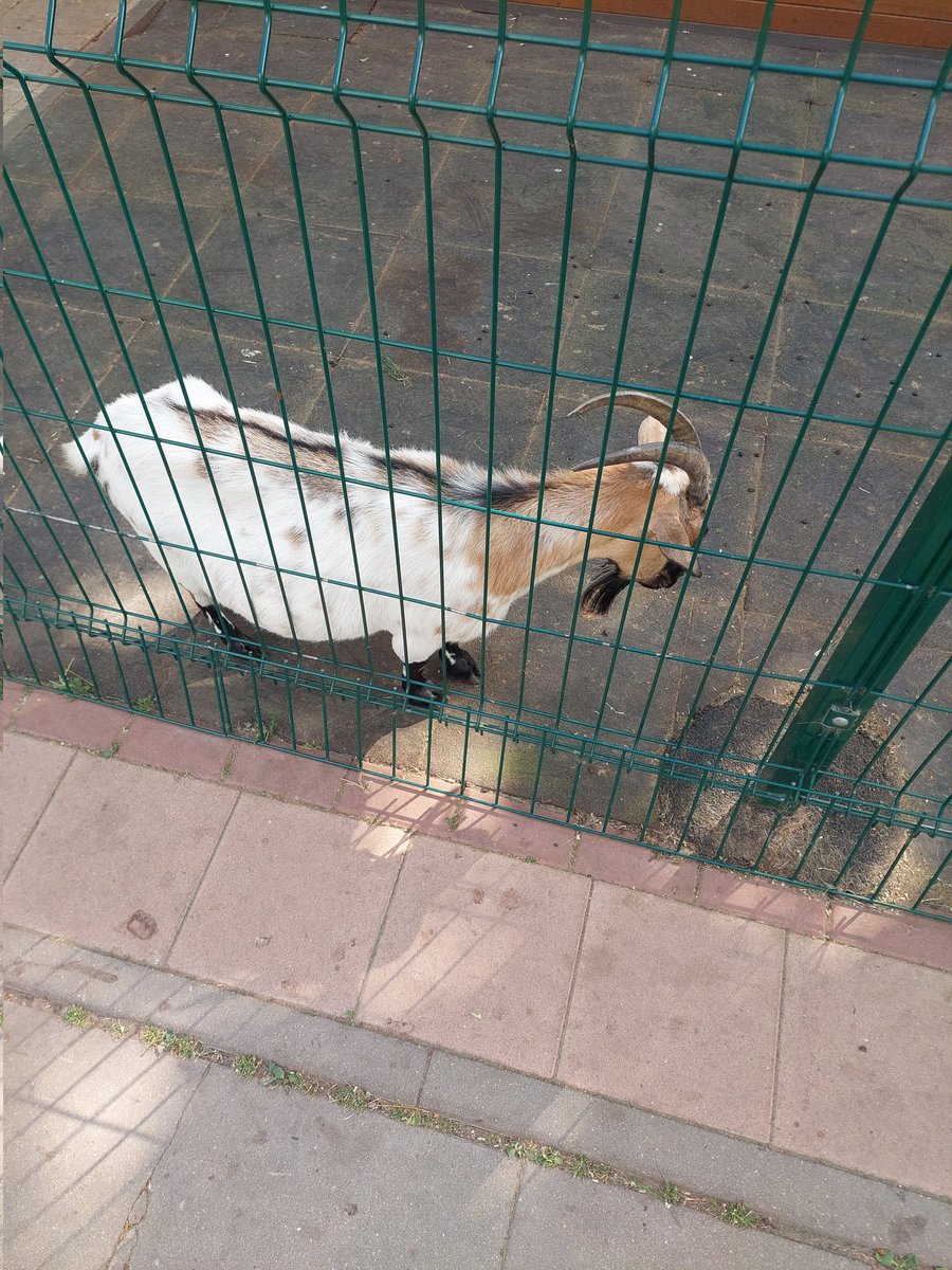 ECTET's tweet image. Привет. 
У меня новая работа. 
Я побежал 15км.
Больше ничего нового :)
Рандом из галереи