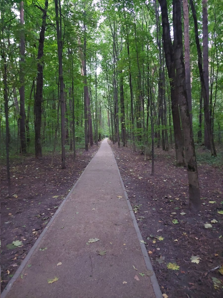 ECTET's tweet image. Привет. 
У меня новая работа. 
Я побежал 15км.
Больше ничего нового :)
Рандом из галереи