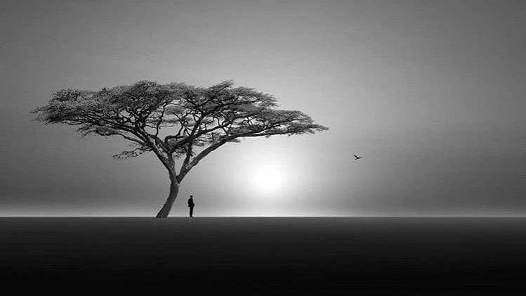 LeoAuteur's tweet image. Le calme du #soir, une image, un nom, celui du #photographe Mari Feni. Bonne #nuit.