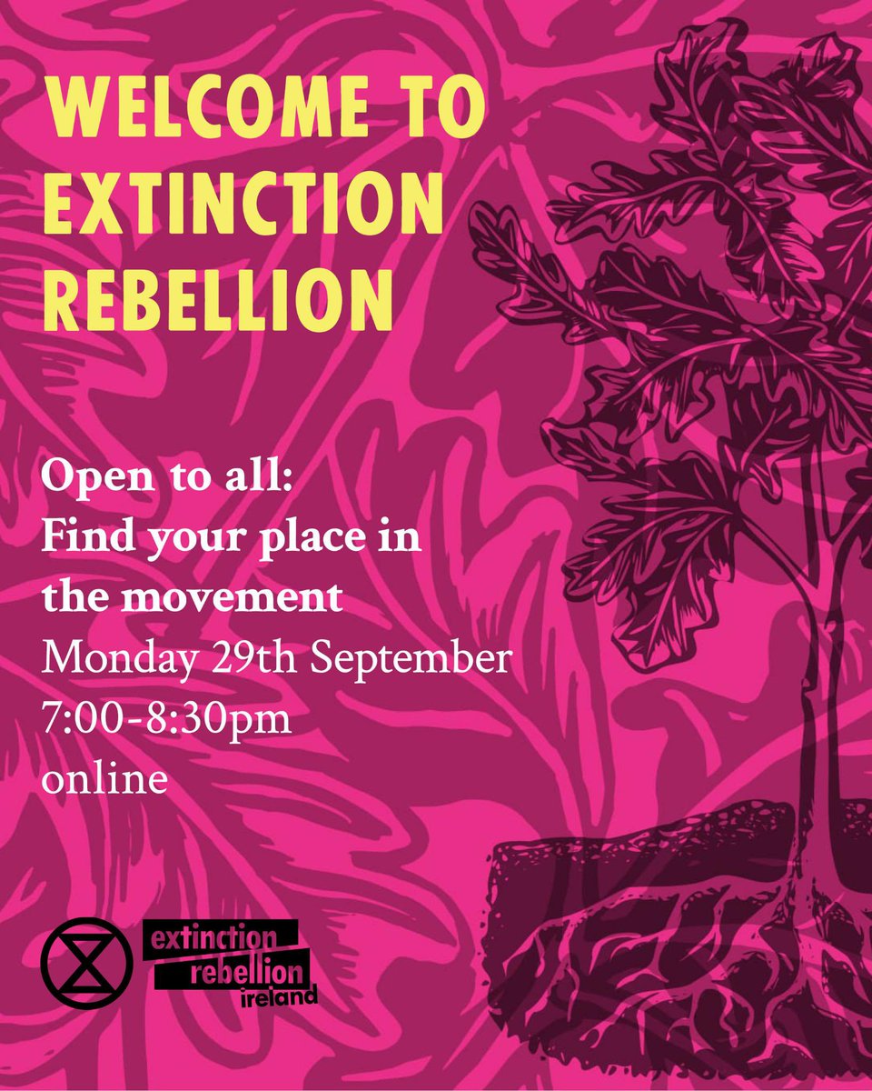 Extinction Rebellion Ireland tweet media