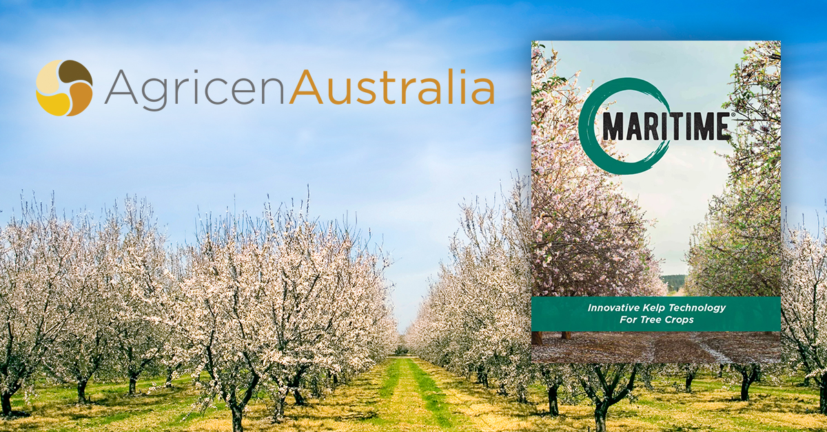 MARITIME is an innovative kelp technology designed for use with specialty crops, including almonds, citrus and more.

Learn how you can get more out of your tree crop fertility program by downloading the MARITIME Tree Crop Booklet.

hubs.la/Q03JrhlS0