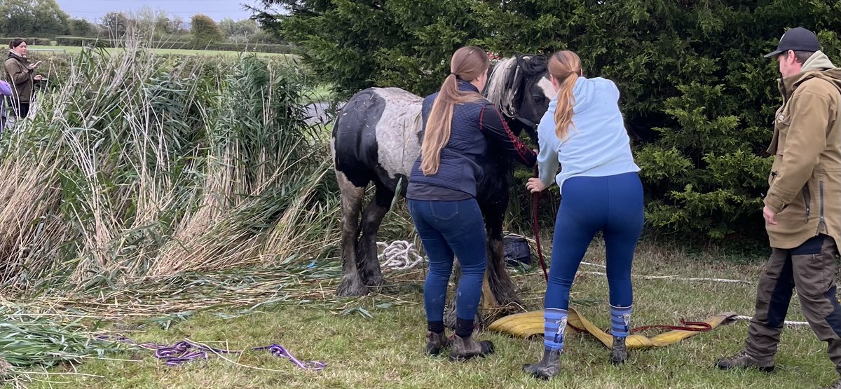 SWFireandRescue's tweet image. 🐴 Neigh-d a hand?

👩‍🚒 Crews from #Duffryn and #Ely galloped to the rescue after a seven-year-old horse found itself stuck in a deep gully in #Newport

👏 Thanks to the calm response and teamwork on scene, the horse was safely returned to its owner.