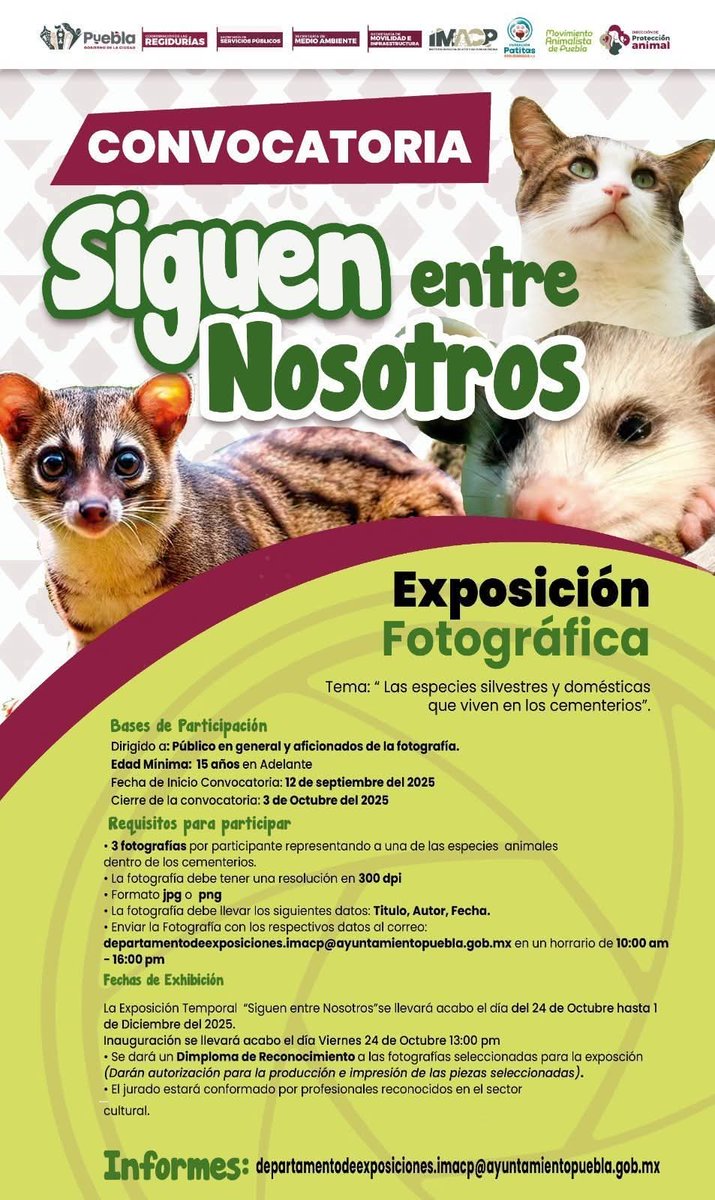 La fotografía requiere tiempo, inversión y es un arte que requiere más reconocimiento que un diploma y exposición. El arte debe ser redituable para los artistas si lo es para las instituciones.
Lamentable que el <a href="/IMACP/">Instituto Municipal de Arte y Cultura de Puebla</a> siga convocando a concursos donde la ciudadanía recibe nada.