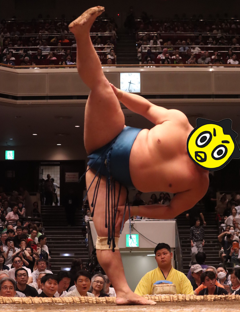 学研 大相撲 限定1,000部 番号457 学研 大相撲 限定1,000部 番号457