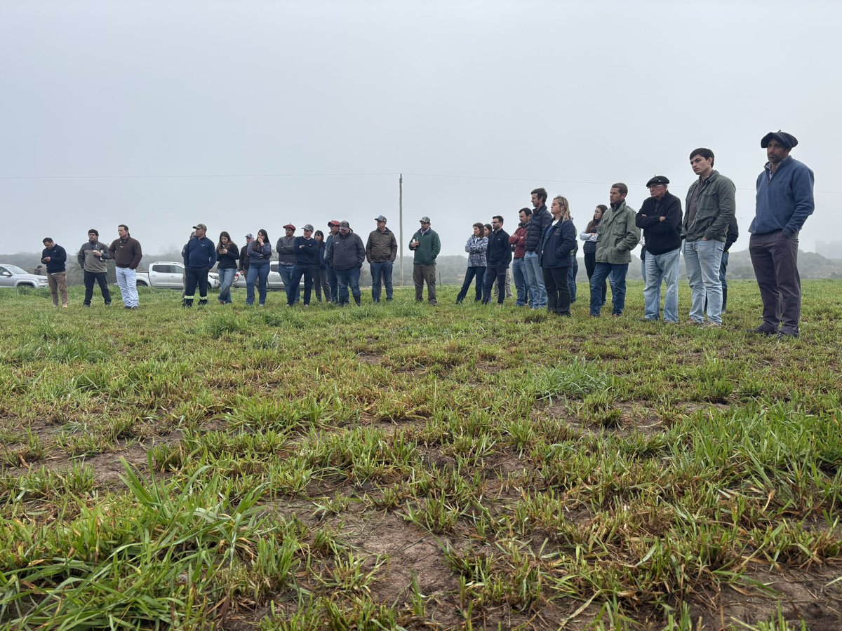 Visita con productores y técnicos de la zona al sistema de producción ganadera en predio Alfa Tango de Villa Trigo con asesoramiento de <a href="/ApeoAgro/">APEO</a> en Soriano.

Armando gradualmente el área de pasturas perennes en rotación con raigrás tetraploide PG CHIEF. ✔️

¡Felicitaciones!