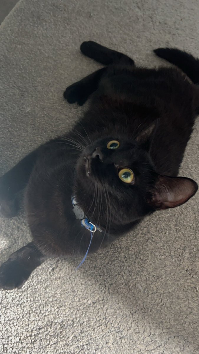 A YEAR DIFFERENCE I CAN NOT 🥲🥲