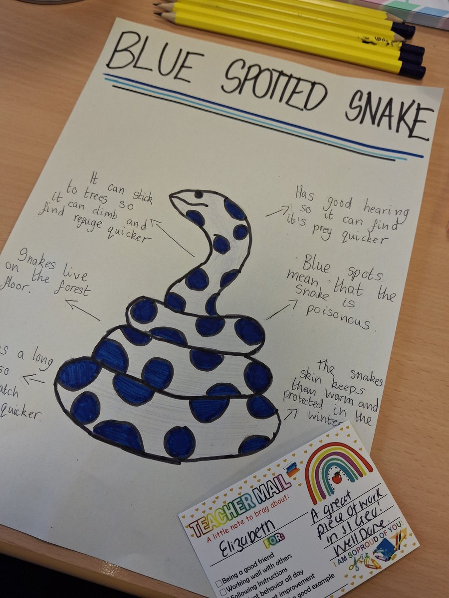 Mrs Stacey - Modern Studies ❤ tweet media