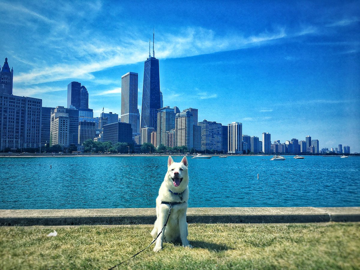 Andrew Foss tweet media