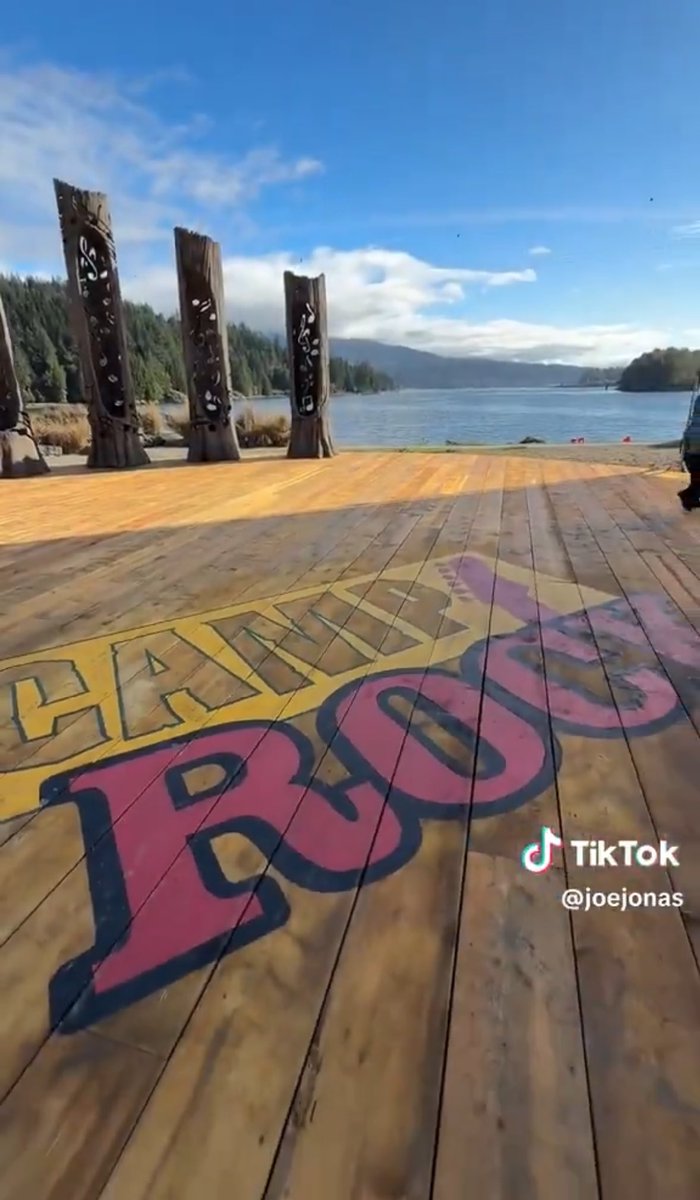 lovelymichaelj's tweet image. no importa ya ser adultos, estaremos viendo camp rock 3 como si estuviéramos en 2008 otra vez!