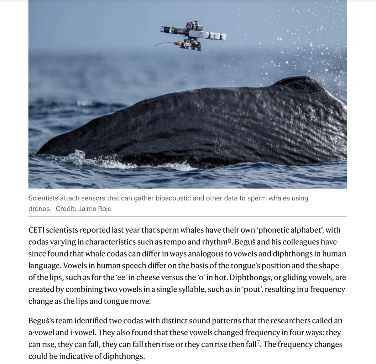 Gašper Beguš (@begusgasper) on Twitter photo A news feature in <a href="/Nature/">nature</a> reporting on our paper that shows whale vocalizations are analogue to human vowels and diphthongs.
The paper accepted for publication as of today! A news feature in <a href="/Nature/">nature</a> reporting on our paper that shows whale vocalizations are analogue to human vowels and diphthongs.
The paper accepted for publication as of today!
