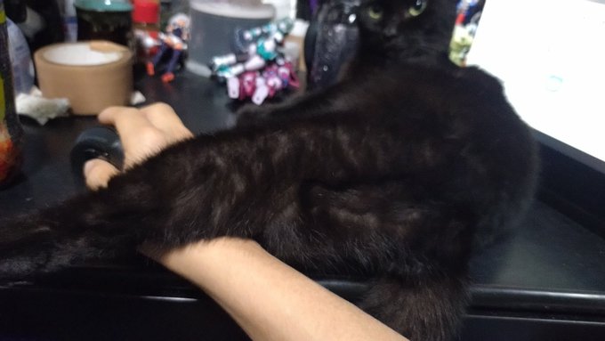 暑いんですけど⋯。 