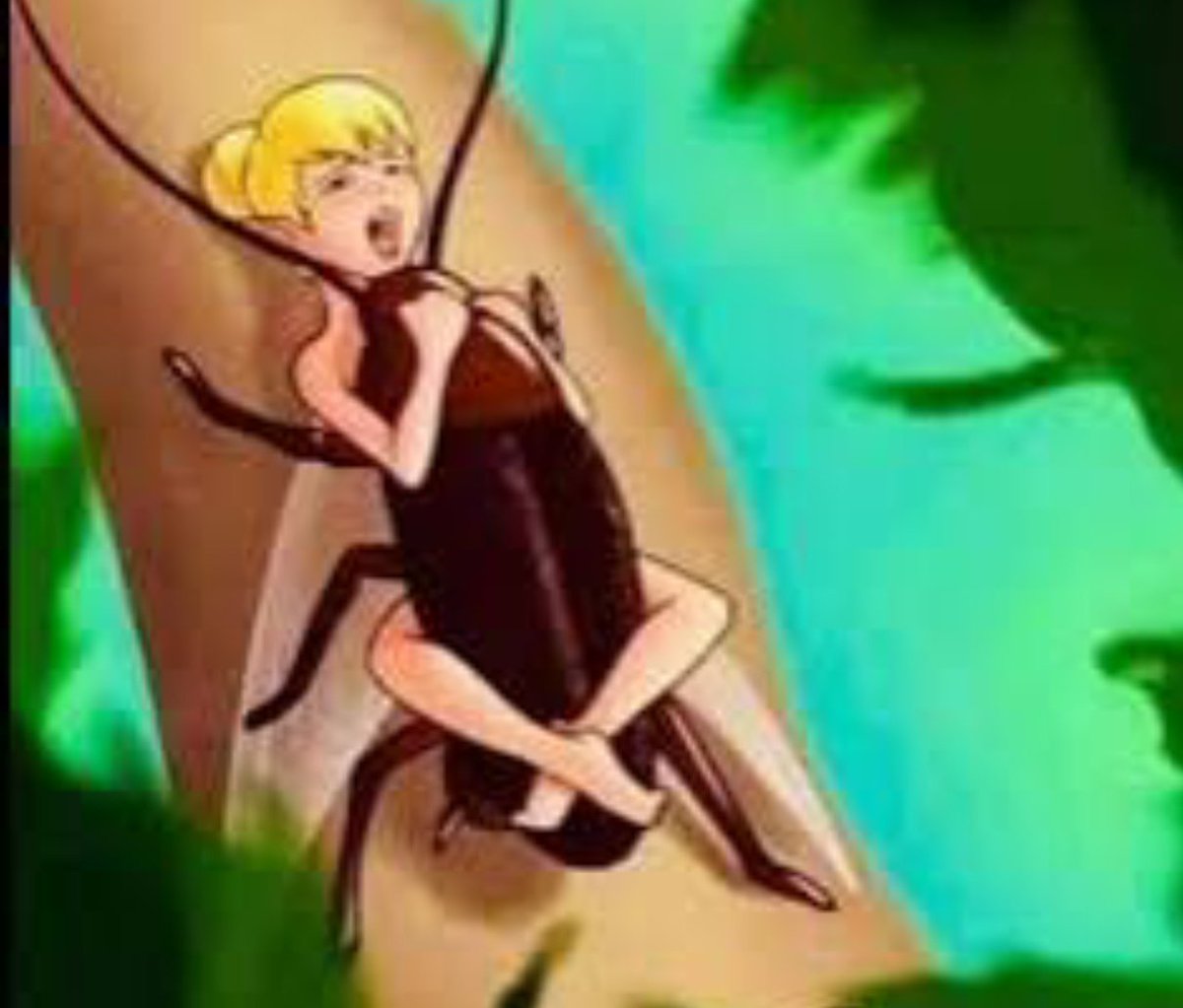 فارس tweet media