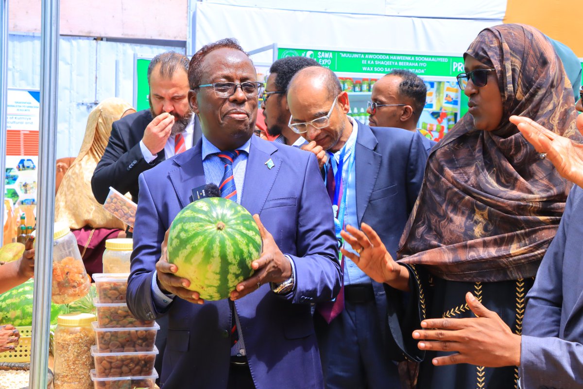 SONNALIVE's tweet image. Mogadishu is hosting a national exhibition showcasing 3 years of achievements by government agencies under PM @HamzaAbdiBarre’s Somali DanQaran government. #SomaliaDevelopment