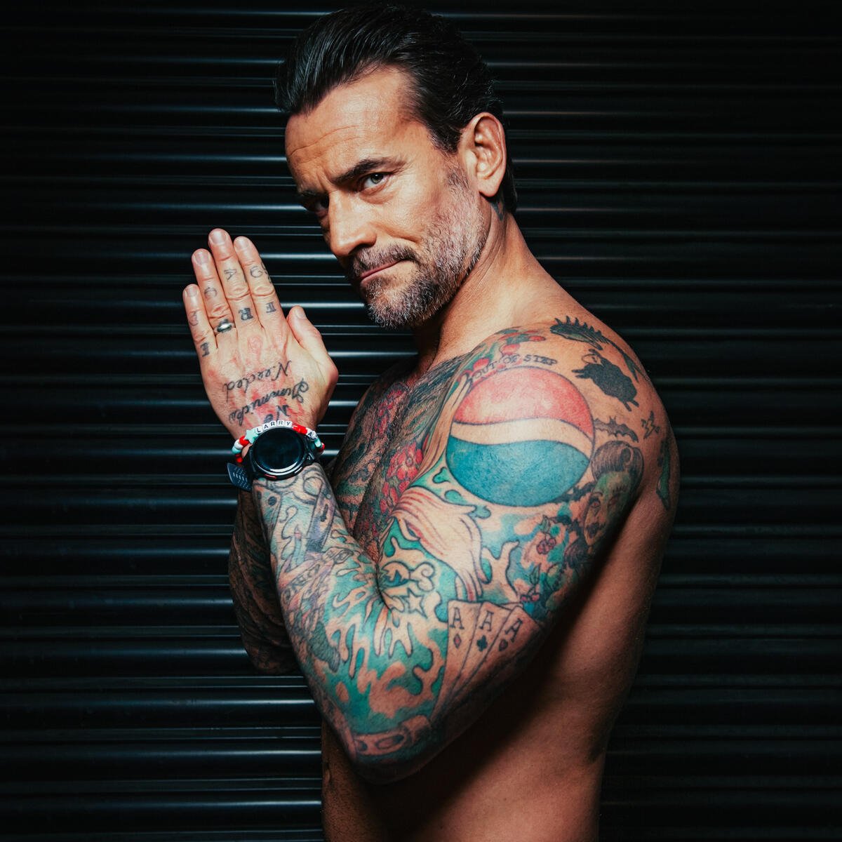 "WrestlePalooza is a ridiculous name" - CM PUNK