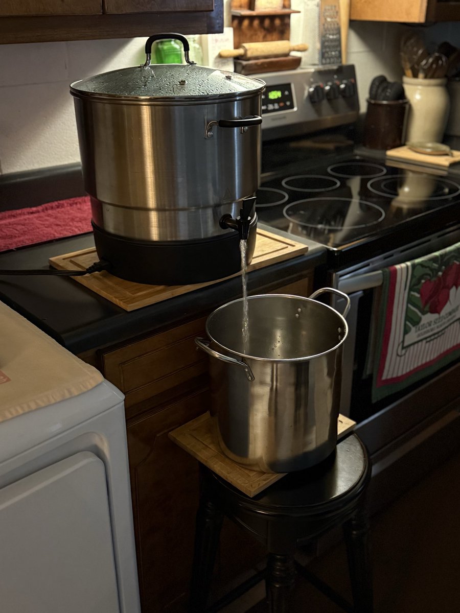 Before you decide that you’ve no need for the electric Water Bath Canner (🤣 like I almost did when I got the steam canner) - I’m really thankful for it right now as this is boiling water (in a nice large batch) for dishes, or drinking, or even a bath and sure is fast, no mess